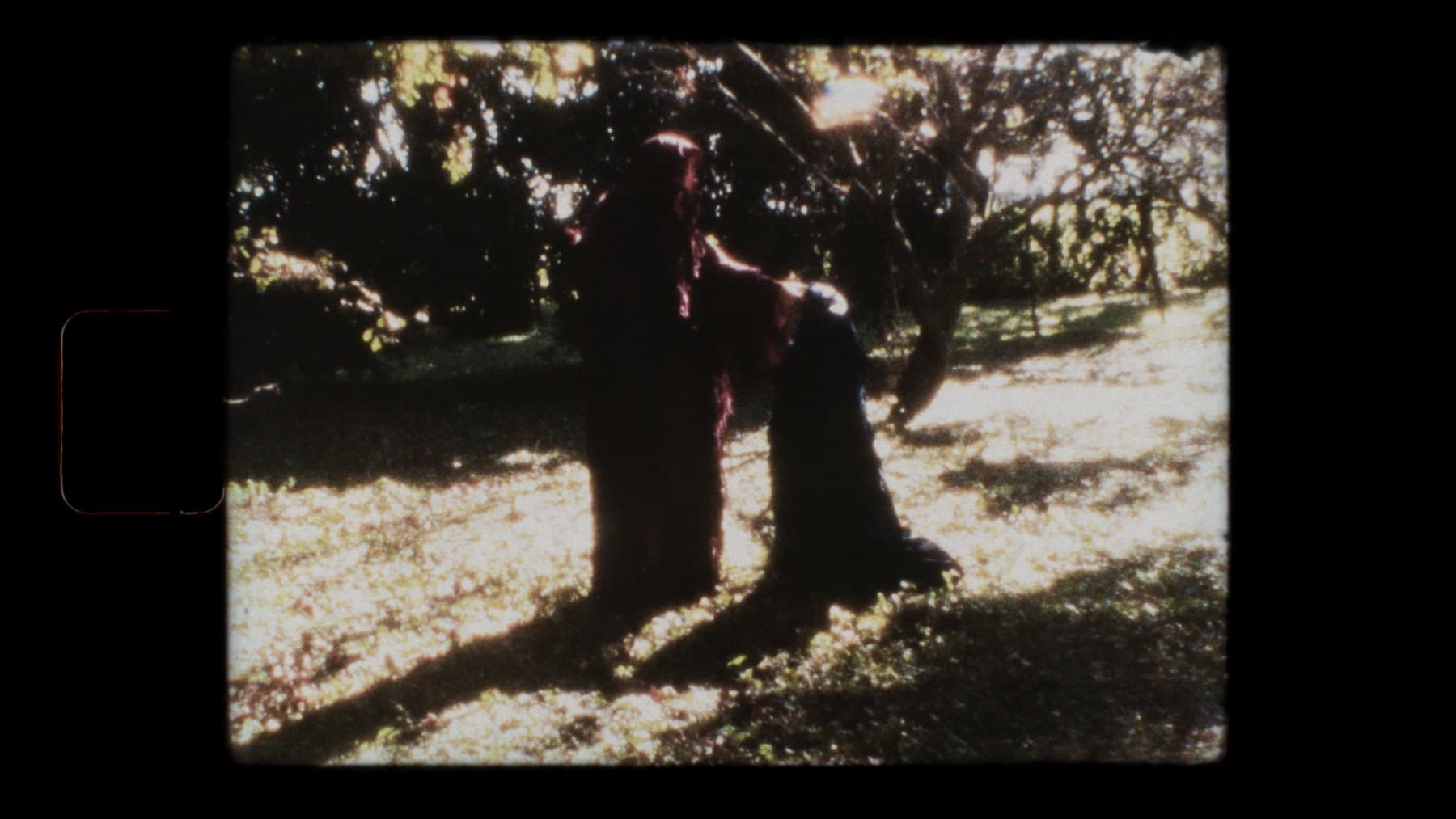 Fotograma Super 8: figura junto a un árbol / Super 8 frame: figure by a tree